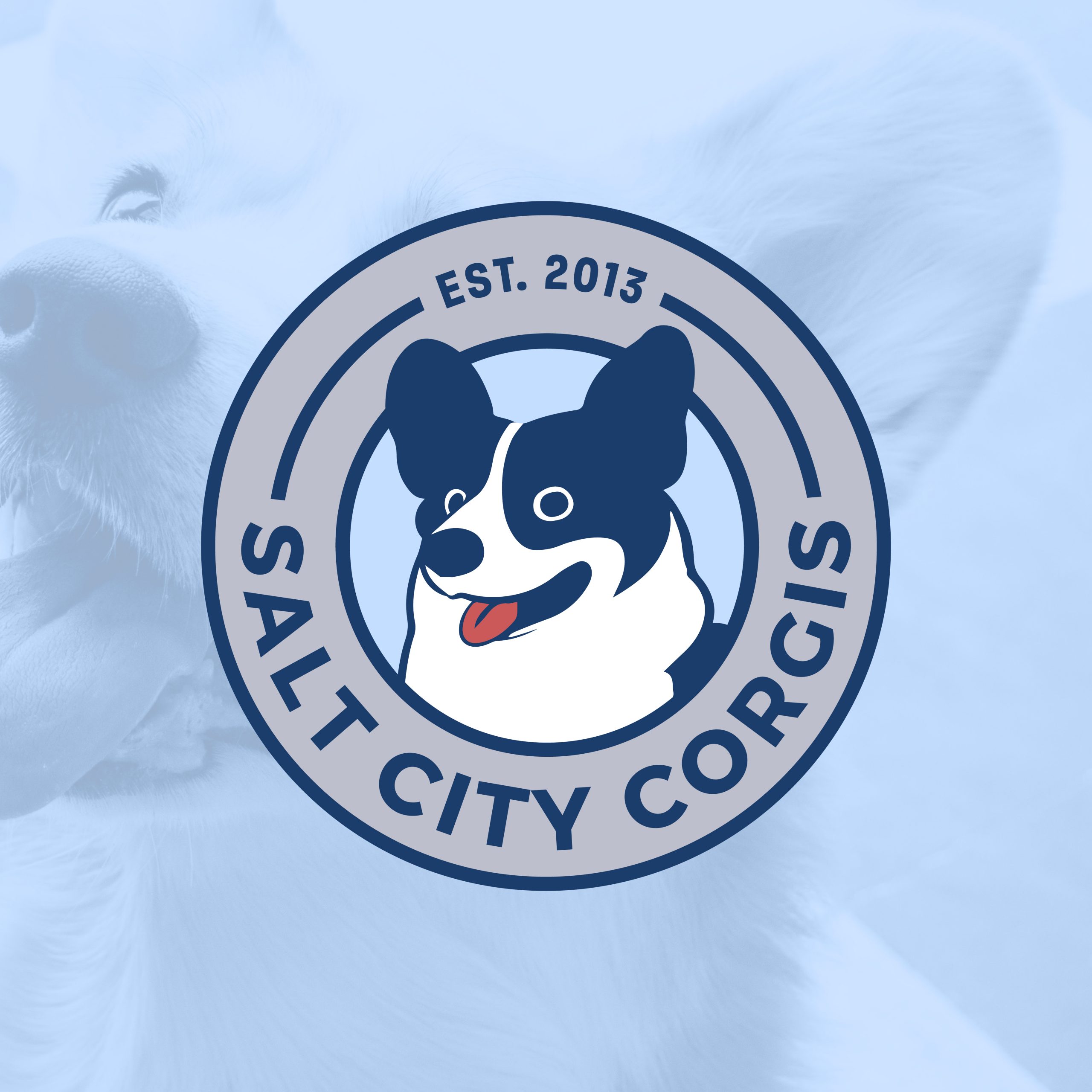Salt City Corgis Brand Identity
